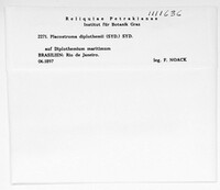 Image Associated With the Occurence